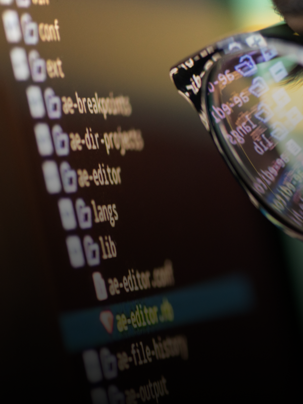 Project Illustration